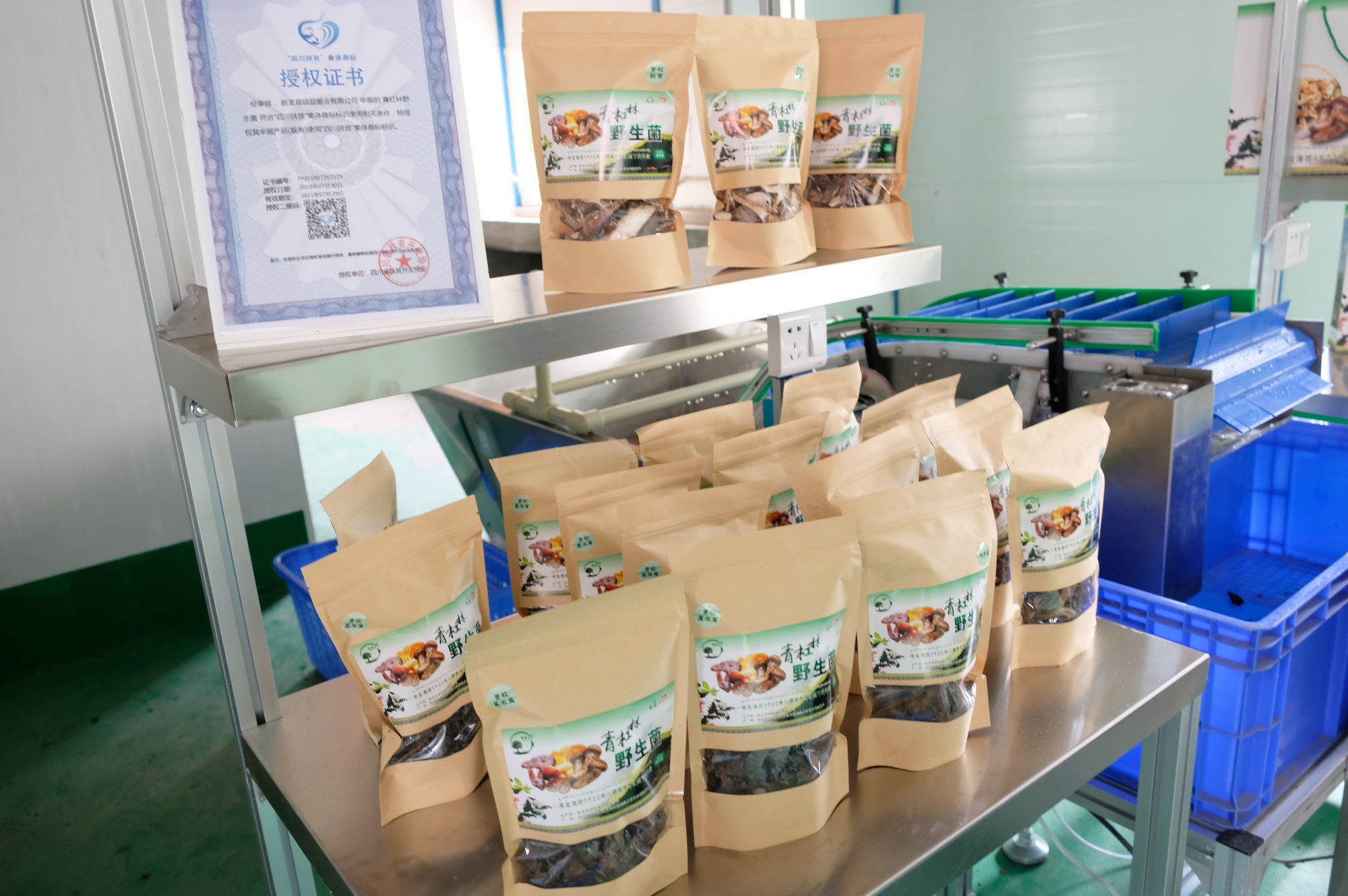 BETWAY(ķ)ٷվ-Official Platform