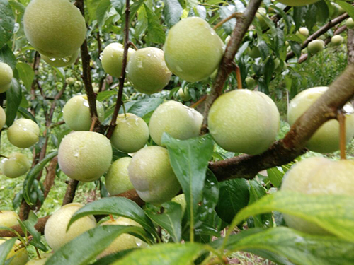 BETWAY(ķ)ٷվ-Official Platform