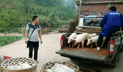 BETWAY(ķ)ٷվ-Official Platform