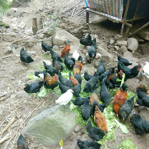 BETWAY(ķ)ٷվ-Official Platform